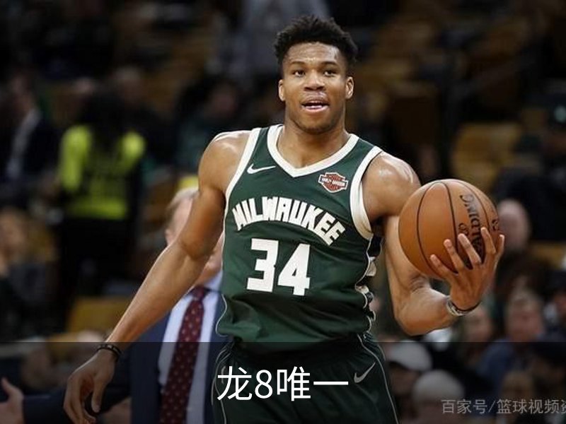 龙8唯一简介